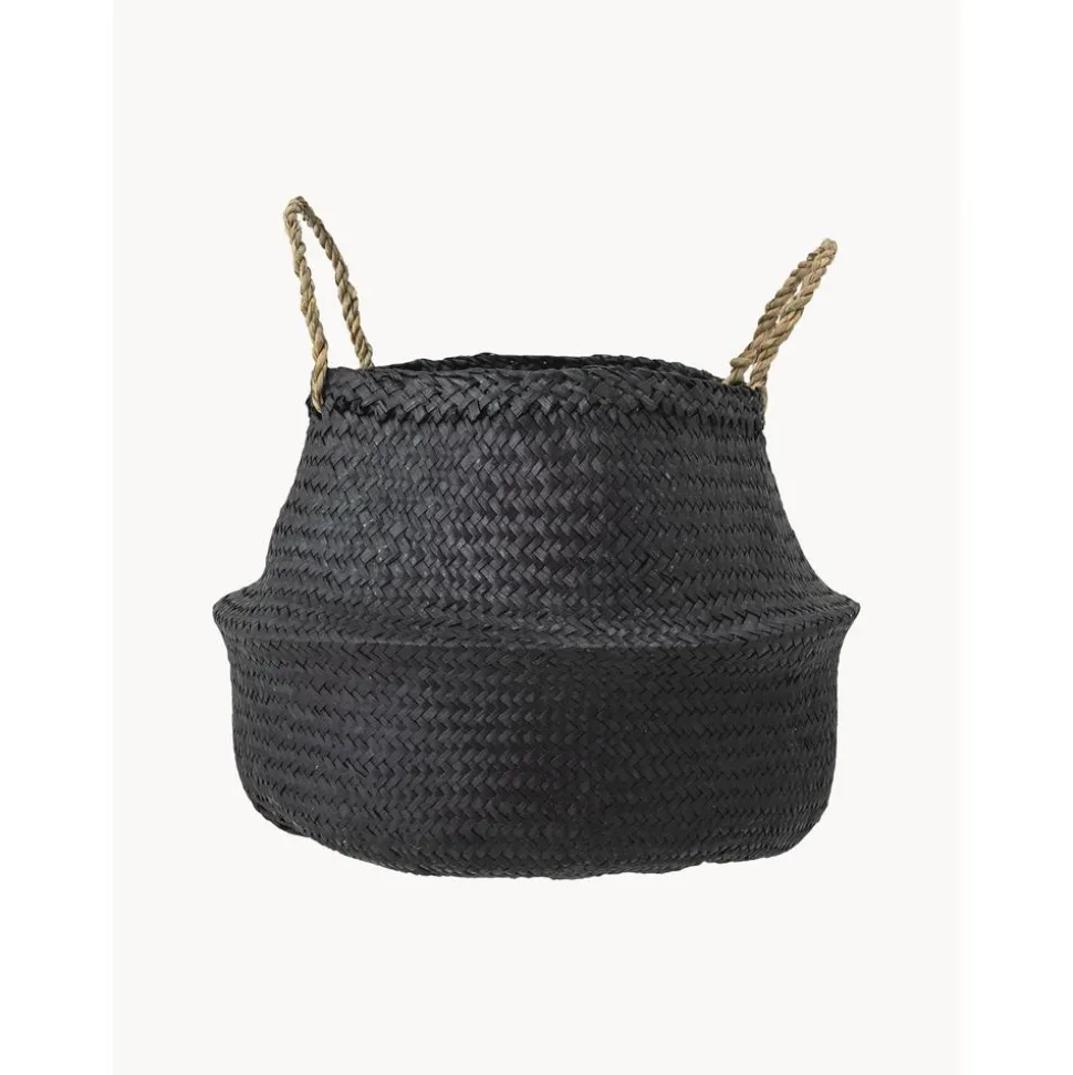 Cesta De Jacintos De Agua Floria