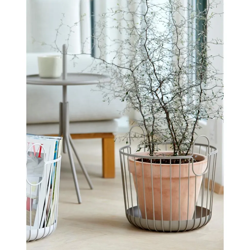 Cesta Ina