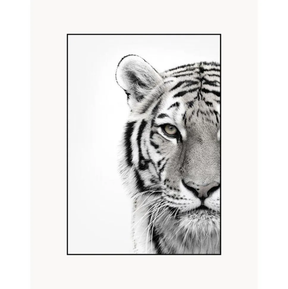 Impresion Digital Enmarcada White Tiger