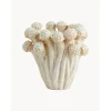 Jarron Artesanal De Diseno Fungi