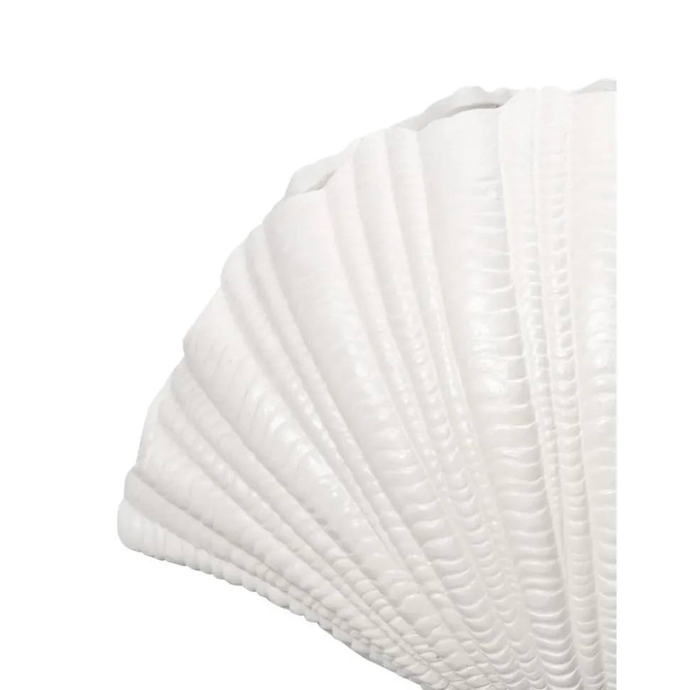 Jarron Grande De Diseno Shell