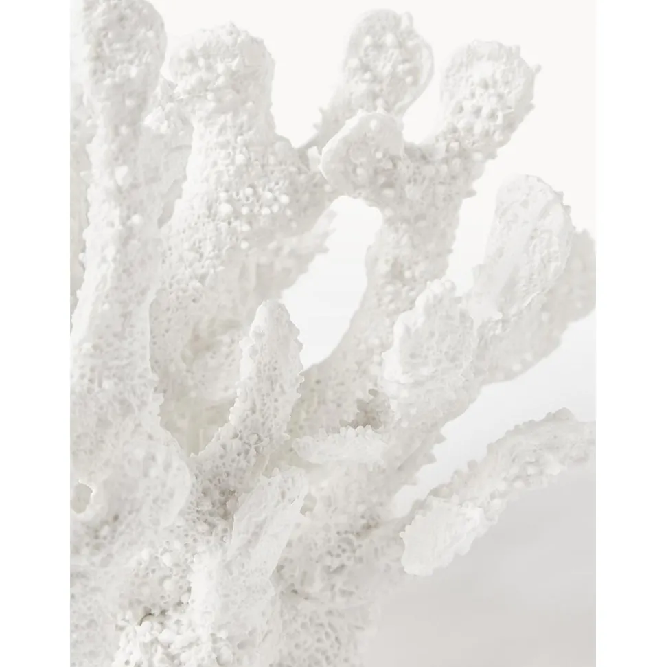 Pieza Decorativa De Diseno Coral
