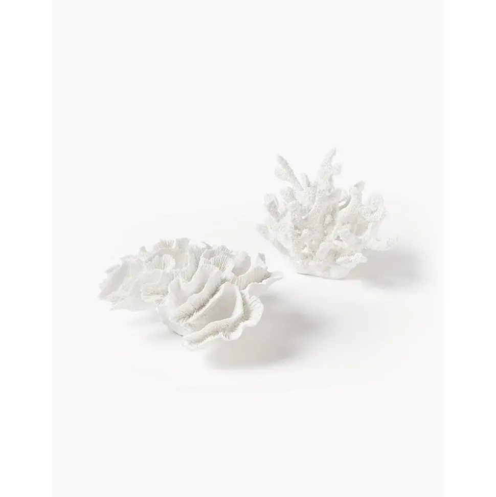 Pieza Decorativa De Diseno Coral