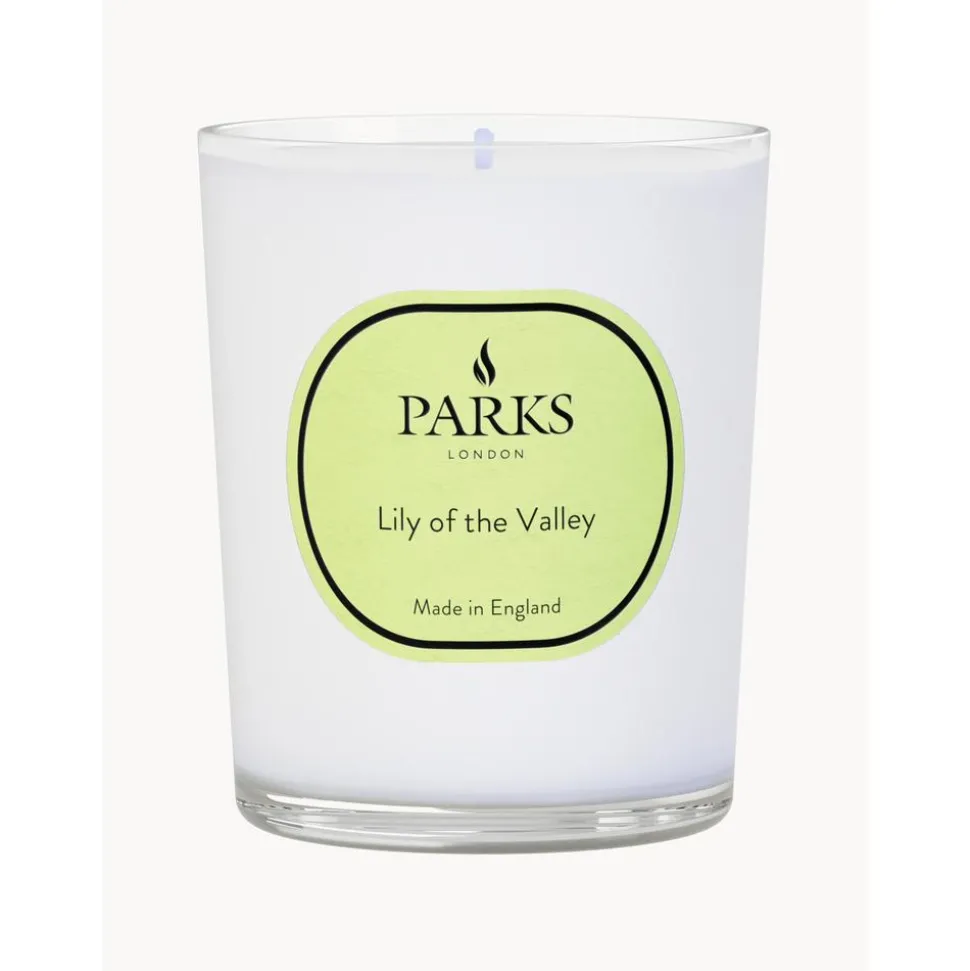 Vela Perfumada Aromatherapy (Lirio De Los Valles)